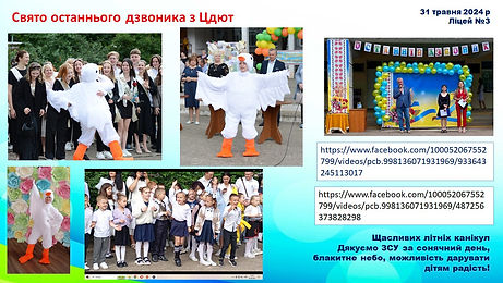 31.05.jpg