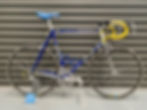 Colnago Team Buckler