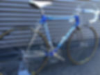 Moser Leader Team Brianzoli