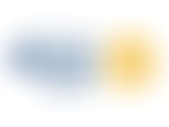 Driving Positive Change: Gold Coast Passport Rotary Club's Mission in Action