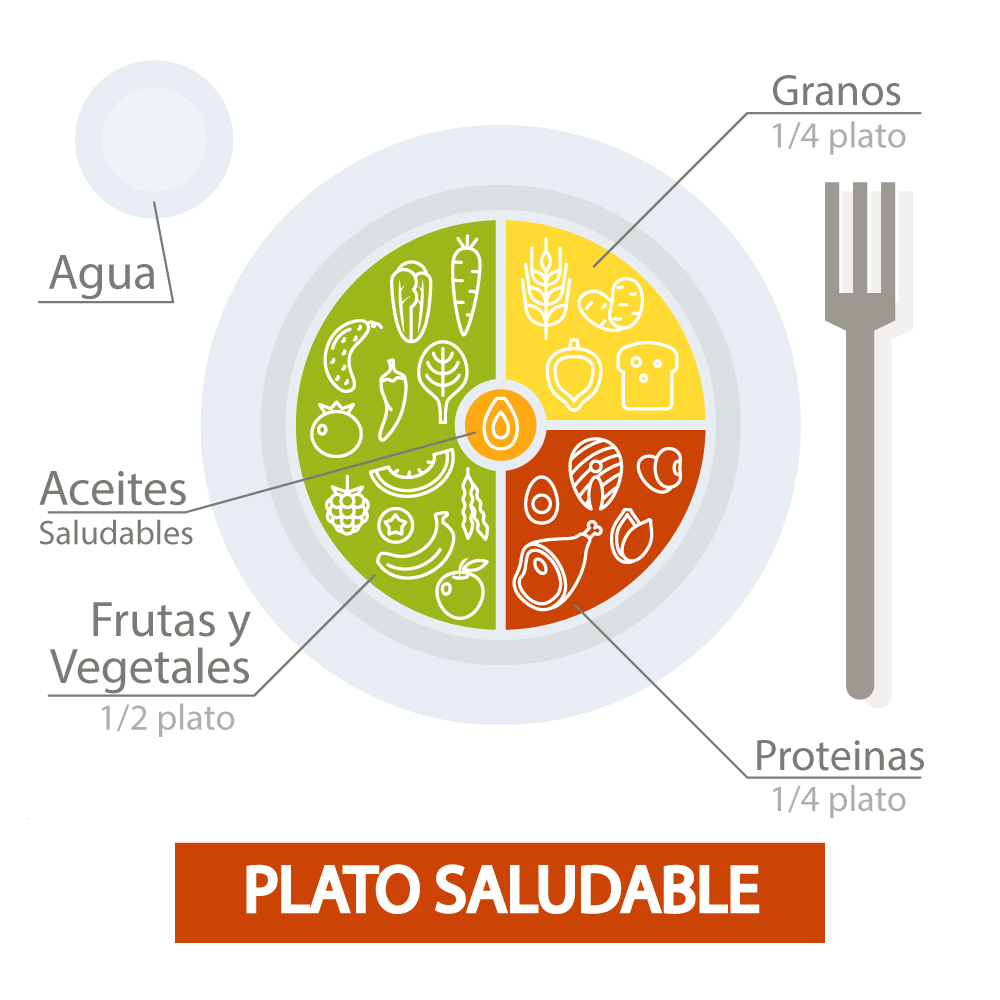 Plato-Saludable.gif