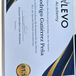 German Language Proficiency & Teaching Experience