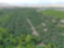 DJI_0205.jpeg