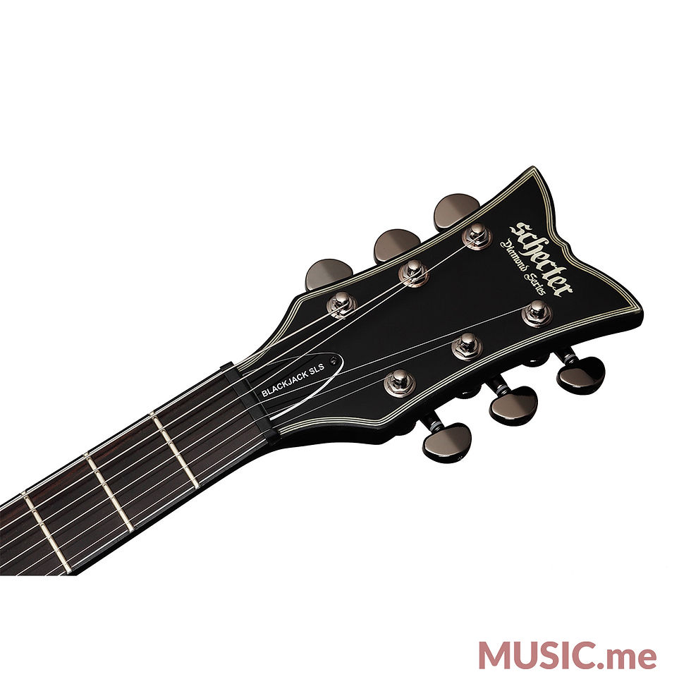 ภาพขนาดย่อ: Schecter Blackjack SLS Solo-6 P Hell's Gate