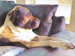 5DEE1F2C-C1E4-4597-8E10-EDFA1C16C9EE