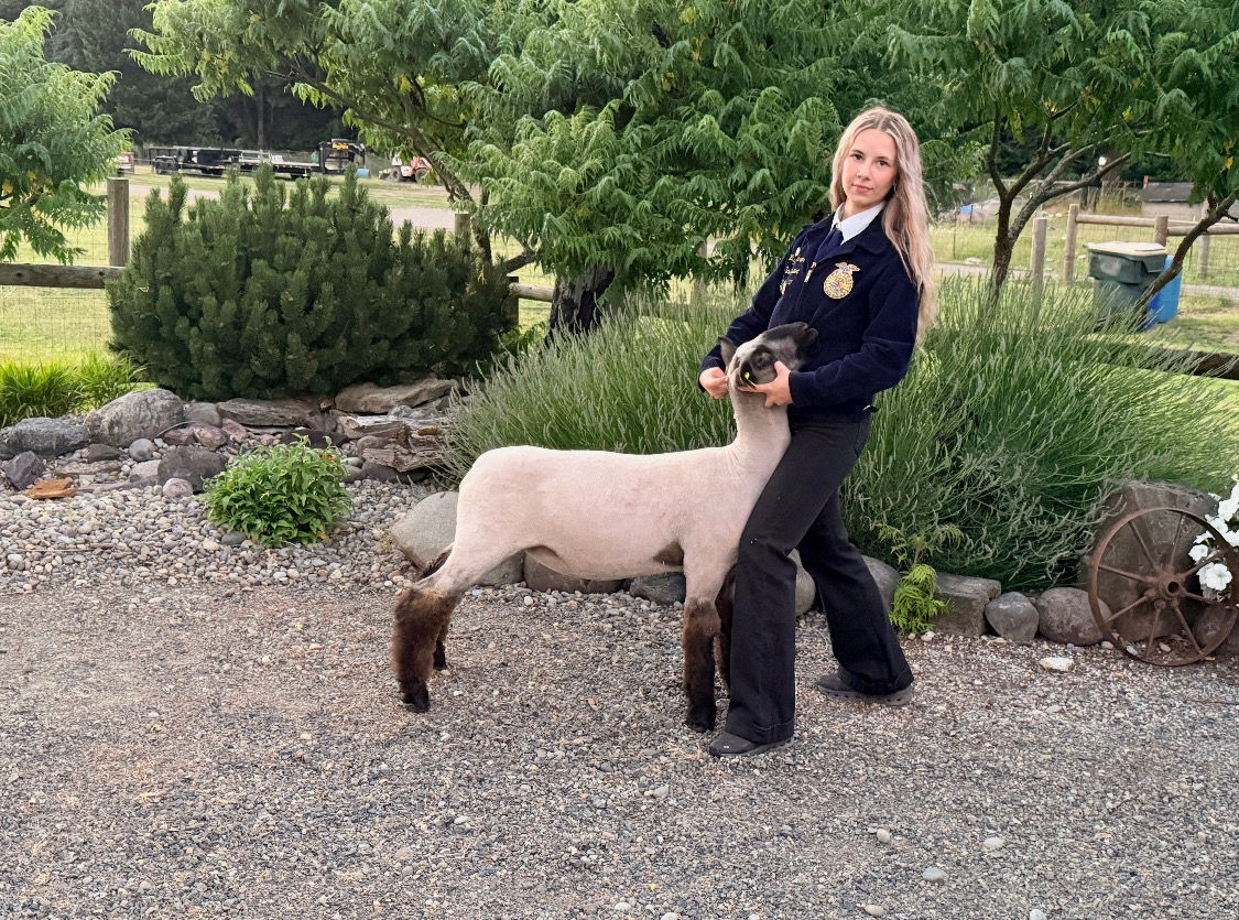 Ahrens, Baylee #127 - Tenino FFA