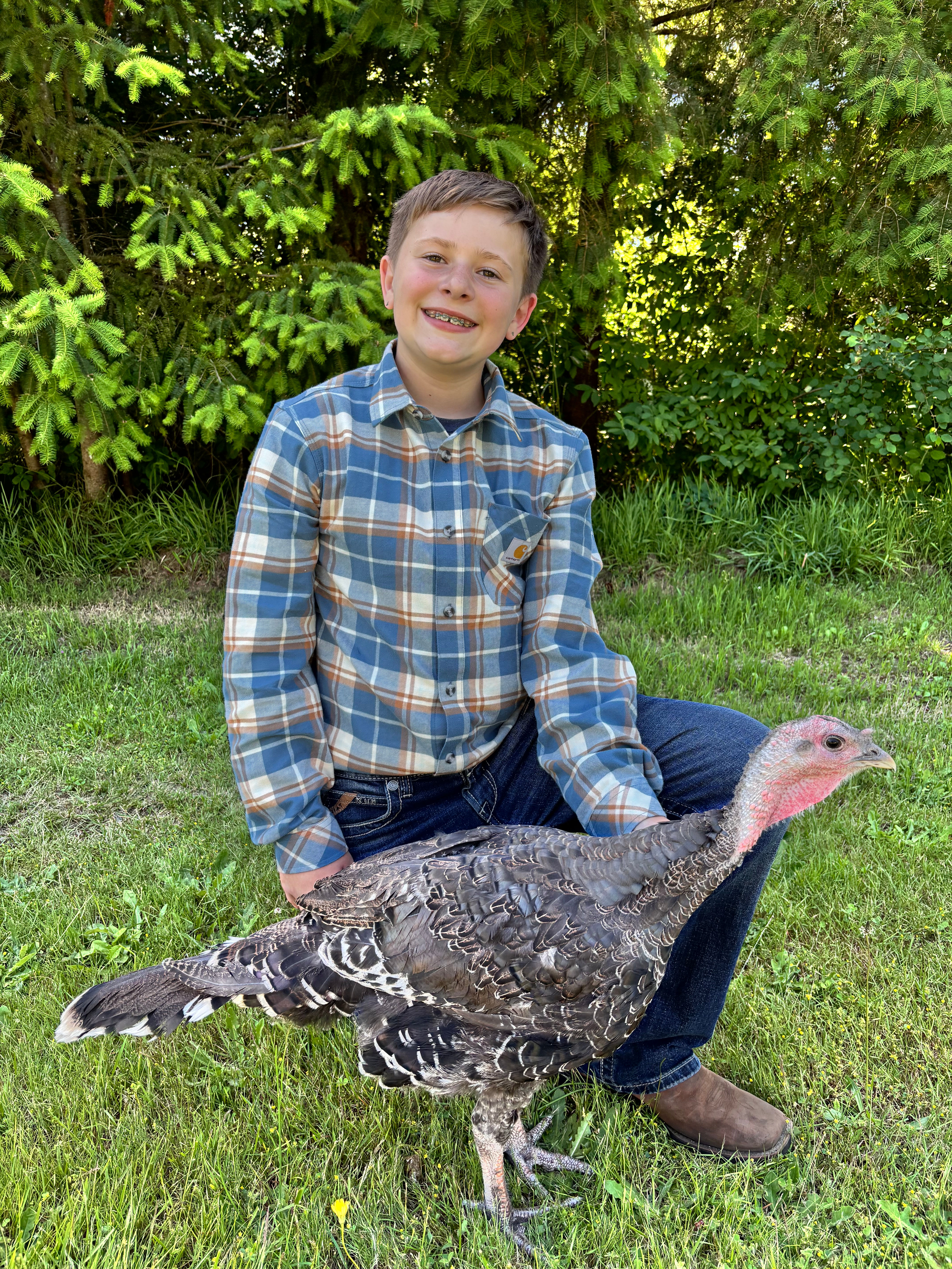 Tekin, Wyatt #607 - 24 Carrots 4-H