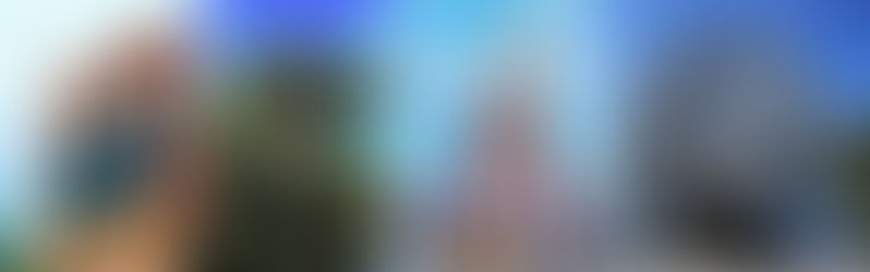 Quantos parques da Disney tem em Orlando e qual vale mais a pena?