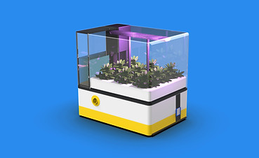 PetPlant.jpeg