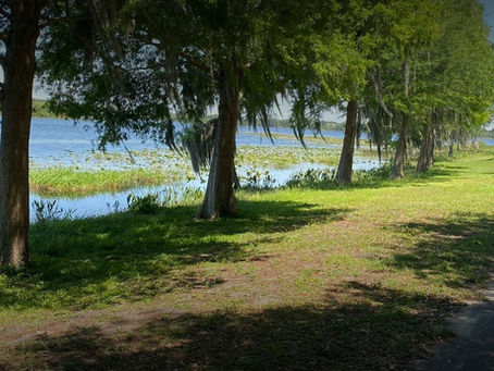 3 Hidden Gems Near MetroWest Orlando You Shouldn’t Miss During Your Stay