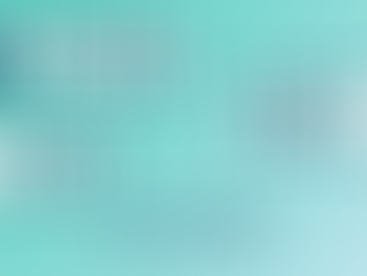 Partner Sprint Enero