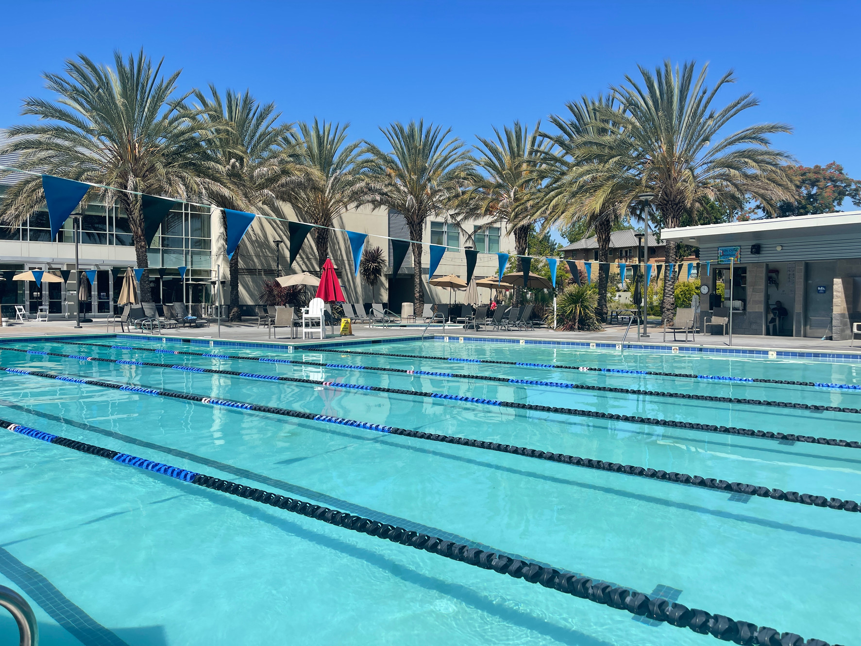 20 How To Join An Elks Lodge 07/2023 BMR