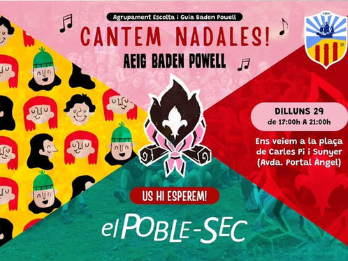 Cartell de l'activitat