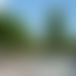 Plaça amb arbres verds i una xemeneia alta al fons. Senyal d'entrada visible. Ambient assolellat i tranquil. Gent passejant a prop.