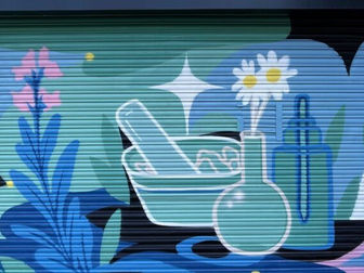 El projecte 'Persianes que fan barri' transforma 17 comerços de la Marina en espais d'expressió artística