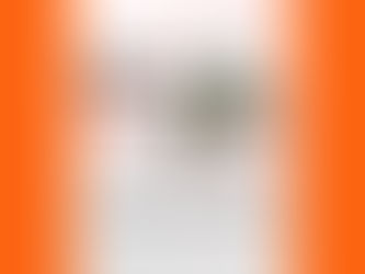 Oberta la convocatòria dels Premis Sants-Montjuïc 2025 fins al 8 de maig.