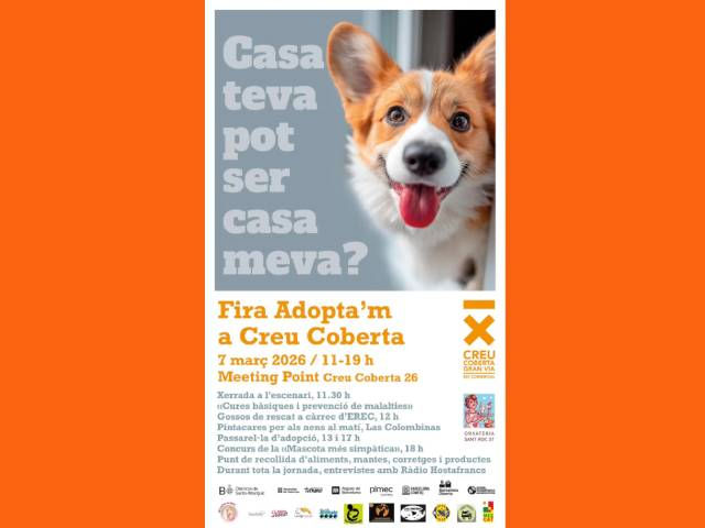 Cartell de l'activitat