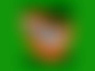 Cartell de l'activitat