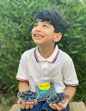 Screenshot 2025-05-04 112916.png