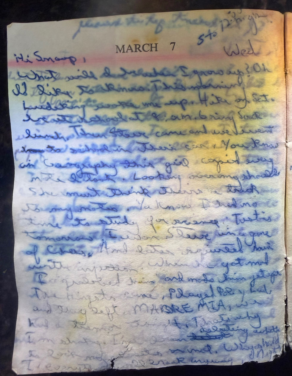 David's Diary March 7, 1973
