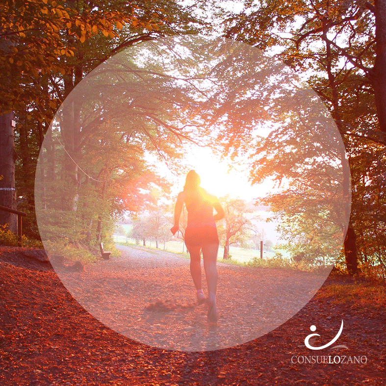 GIF-Enero-2019-Recuperado