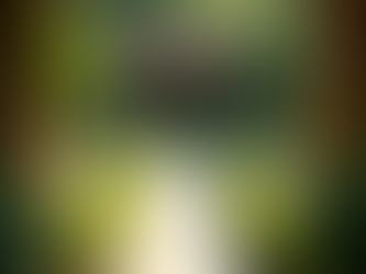 Recente feesten en sfeerimpressies van De Culinaire Traiteur