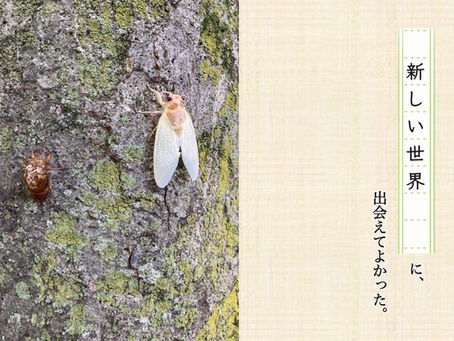 「新しい世界」に、出会えてよかった。(JSTAR×がんフォトコラボ)