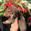 Thumbnail: TRUFFLE