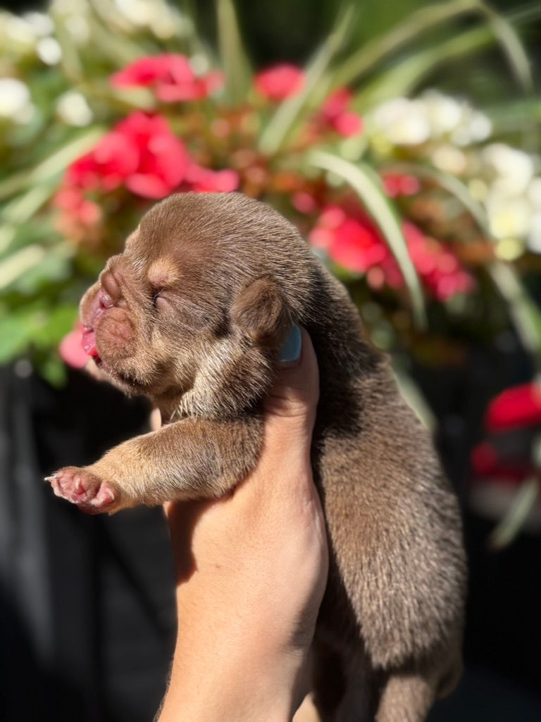 TRUFFLE