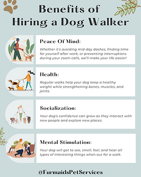 Dog Walking Benefits & ABOUT US.png
