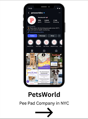 petsworld.png