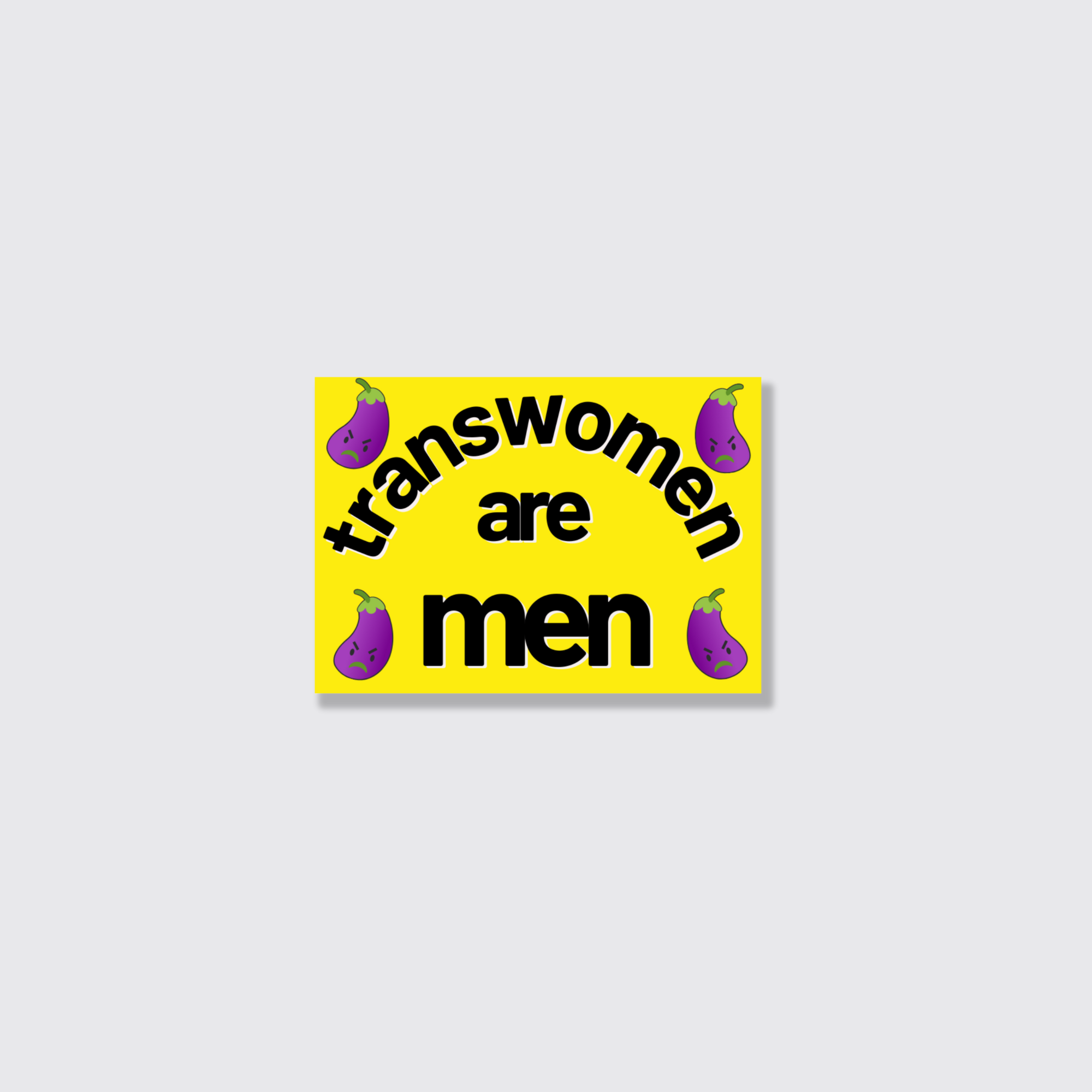 transwomen are men sticker - new design!