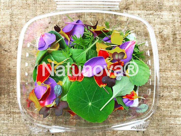 Hojas Baby Orgánicas
Hojitas Baby
Brotes
Germinados
Flores Comestibles
Mix Primaveral
Natunova