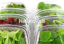 Hojas baby
Hojitas Baby
Hojas Vegetales
Hojas Hortalizas
Mesclum
Mezclum