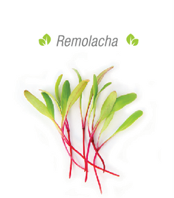 Germinados
Brotes
Orgánicos