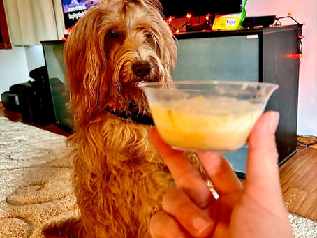 Dog-Friendly Butterbeer