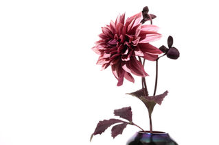 手作りの布の花:深雪アートフラワー Miyuki Art Flower 手作りの布の花:深雪アートフラワー Miyuki Art Flower