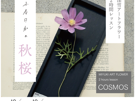 2時間レッスン「小春日和の秋桜」