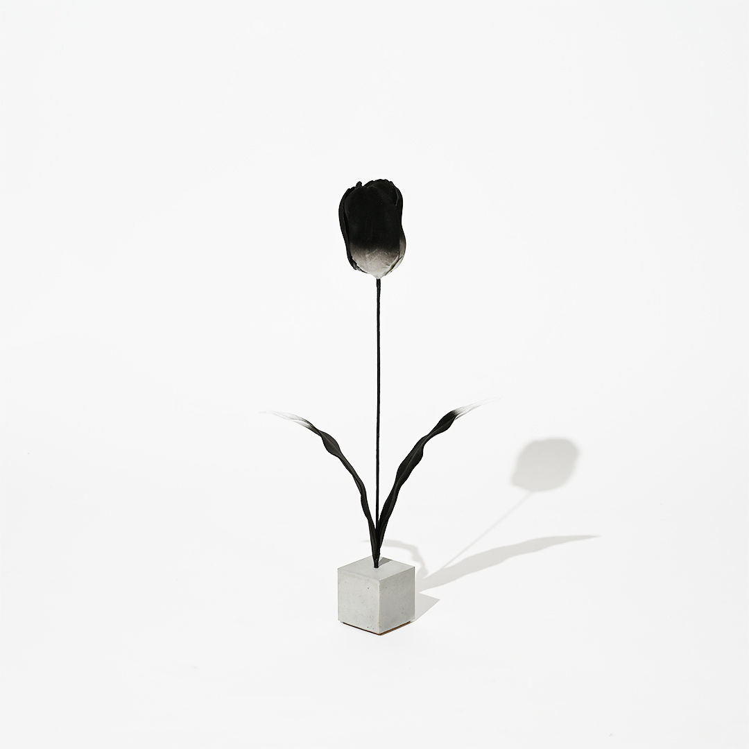 "flower" TULP Black