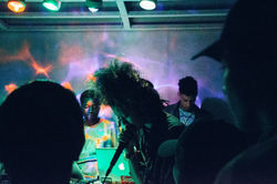 Crown Roots March 2016