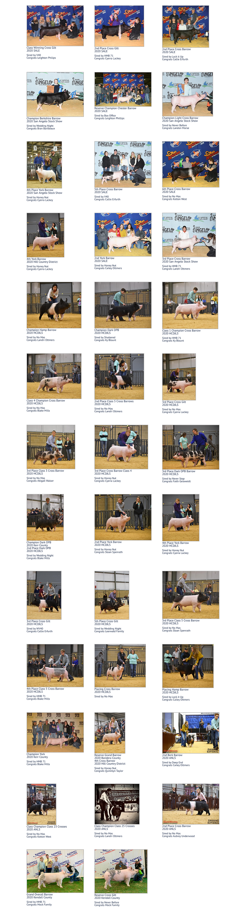2020 Winners - Lindner Show Pigs