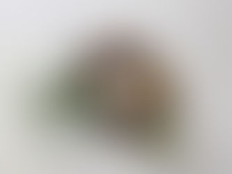 正月飾り（２０２６年）