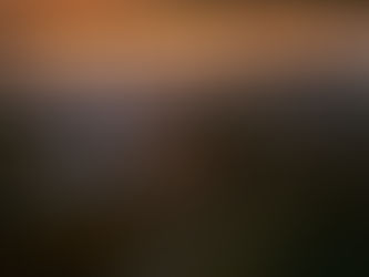 Day 5: Kasane at Chobe Safari Lodge