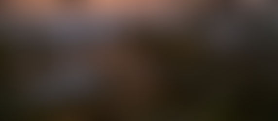 Day 5: Kasane at Chobe Safari Lodge