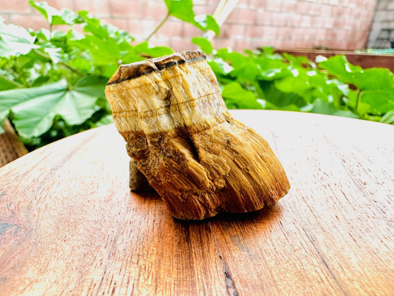 Raw Yellow Tiger-eye