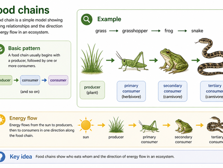 Ecosystems and Interdependence