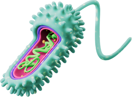 Similarities between prokaryotic and eukaryotic cells