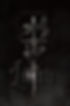 Lilith_Book Cover.jpg