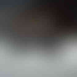 Triumph Scrambler 1200 X Icon Edition