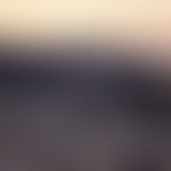 Triumph Motorcycles reveals two new 400 models | Meet the Triumph Thruxton 400 and Tracker 400